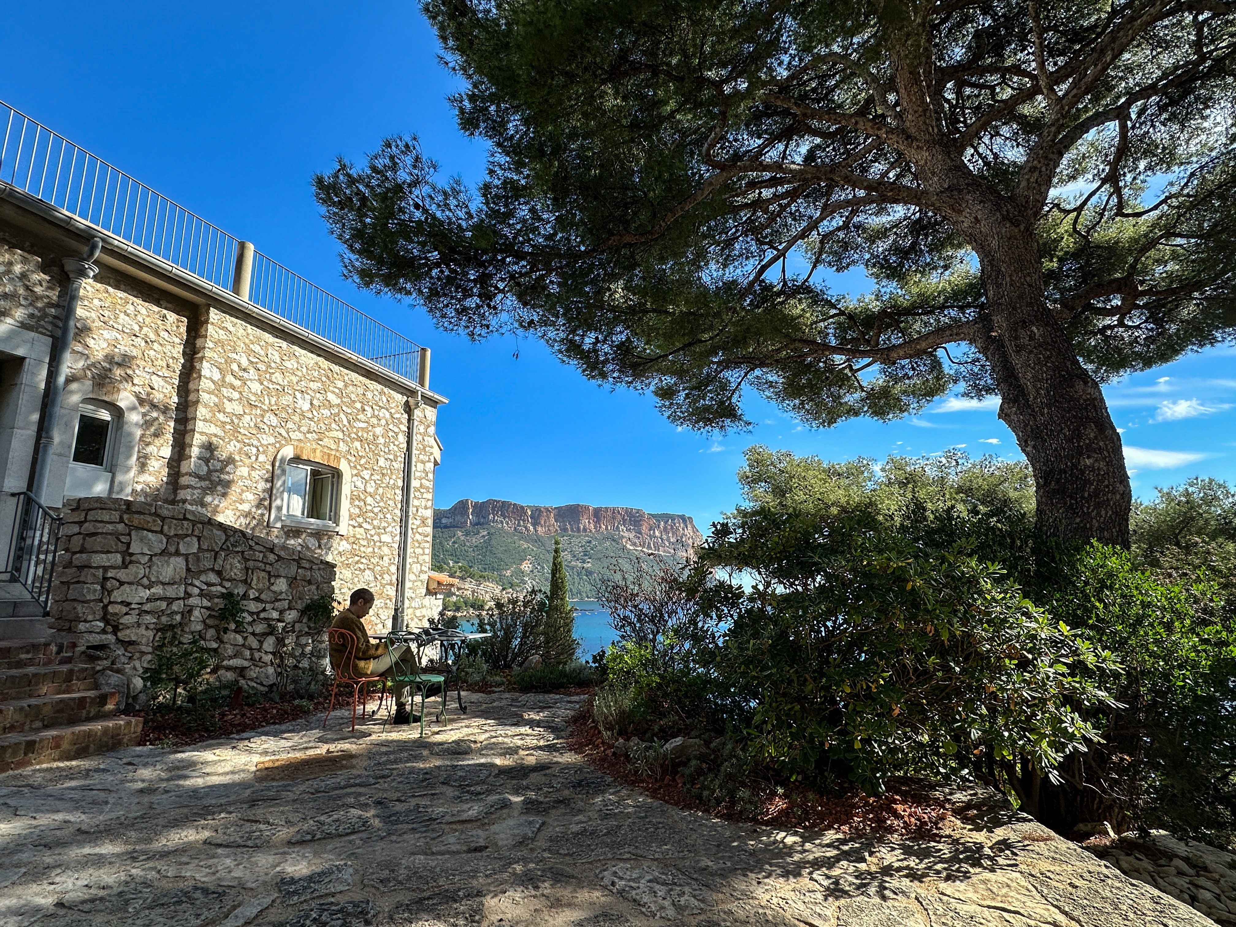 A person sits reading at a table under a tree in a courtyard