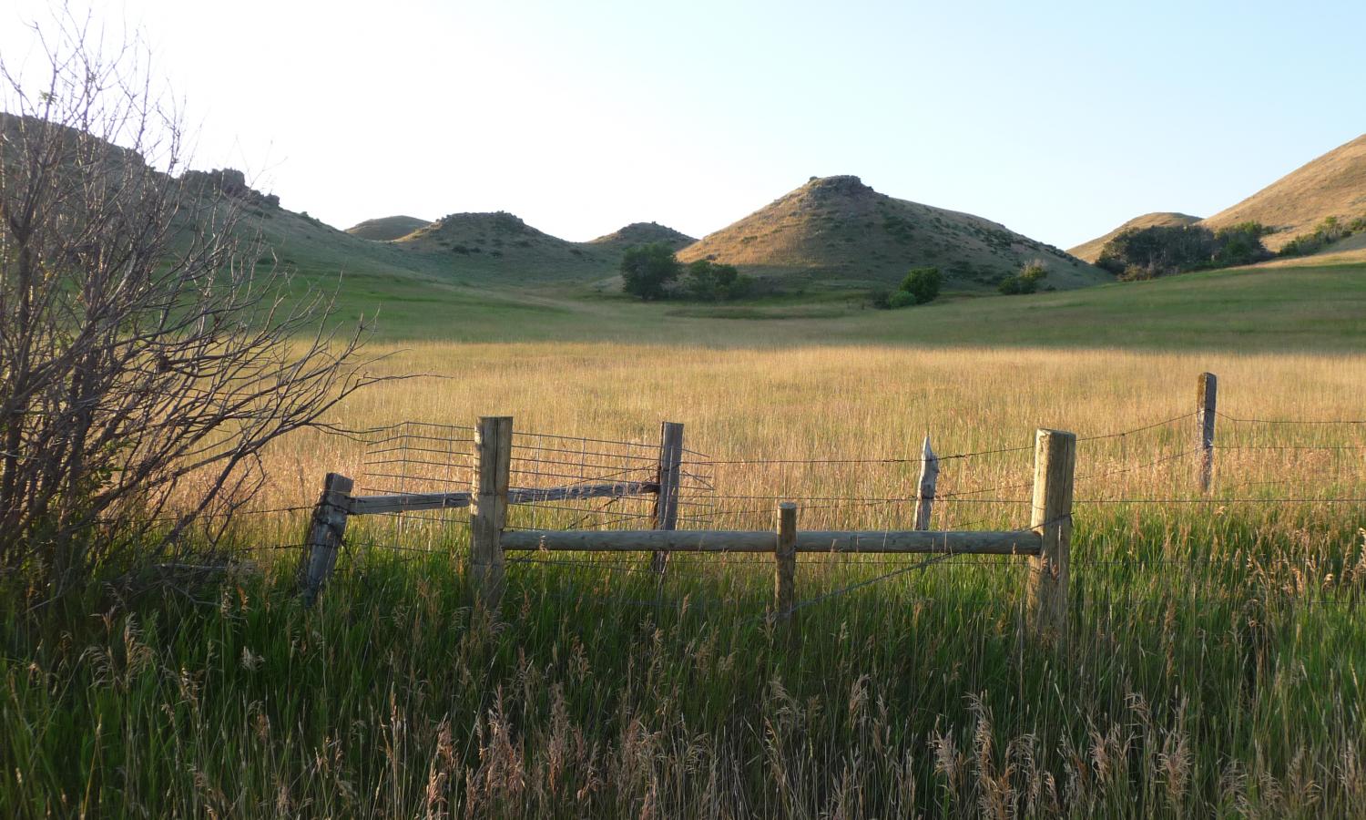 Jentel Hayfields and Foothills