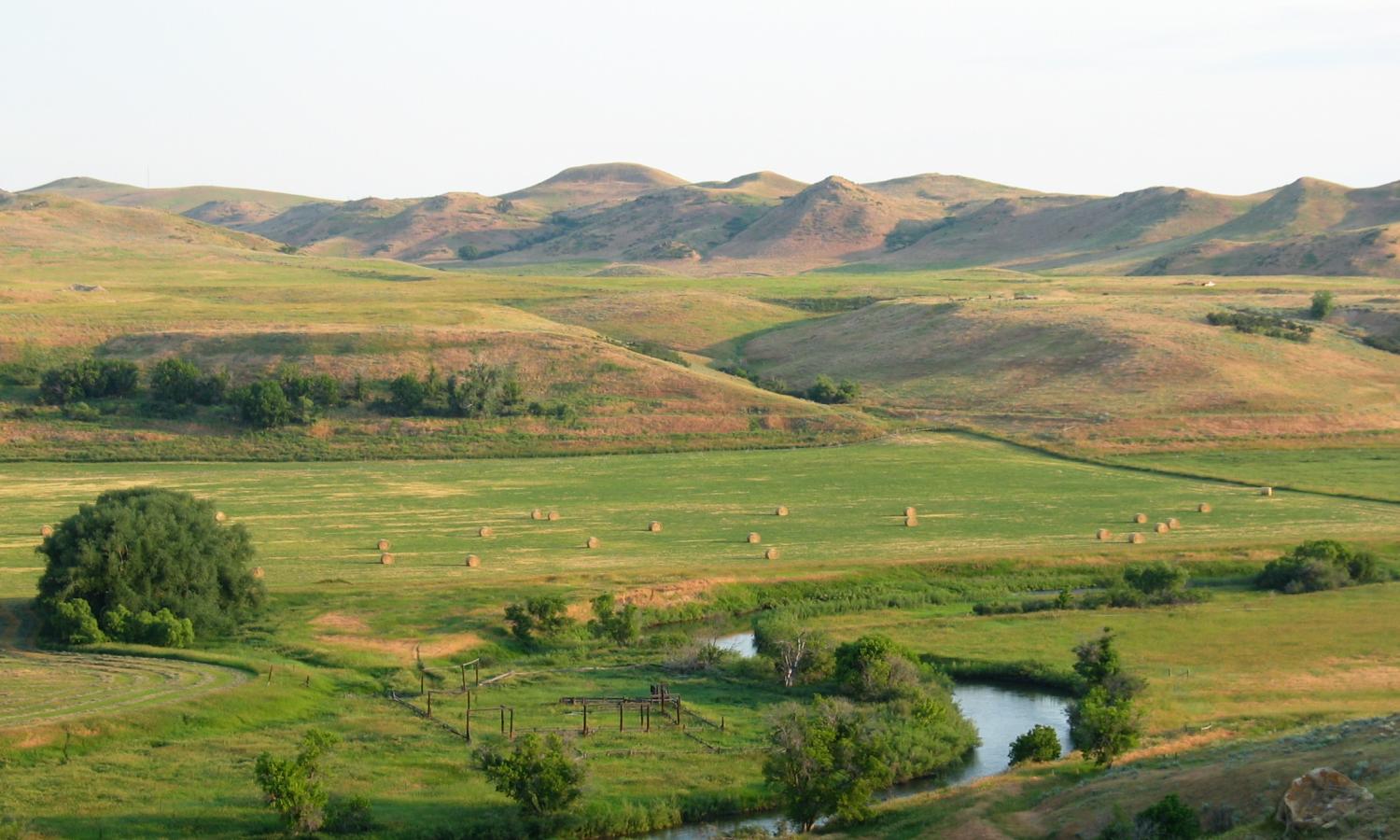 Summer Brings a Second Cutting of Alfalfa