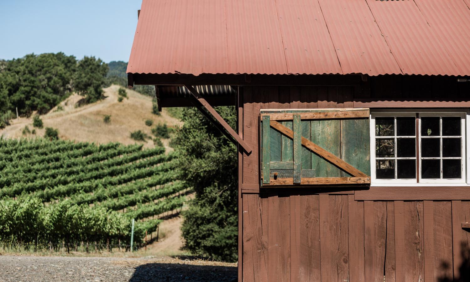 The outside of the barn studio with vineyards in the background.