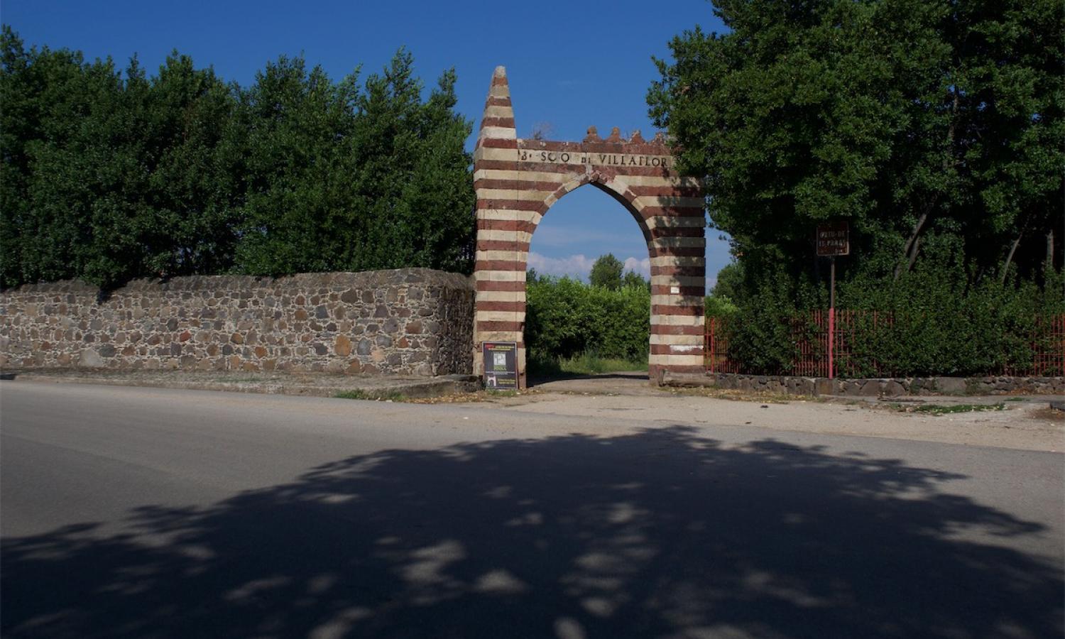 Our studios are located at a few steps from the most ancient citrus grove of Sardinia