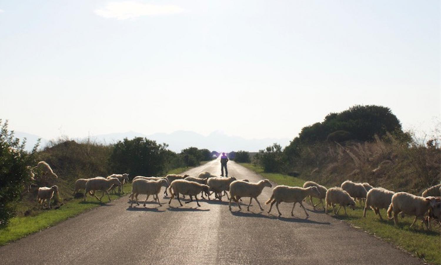 Immersed in a rural environment