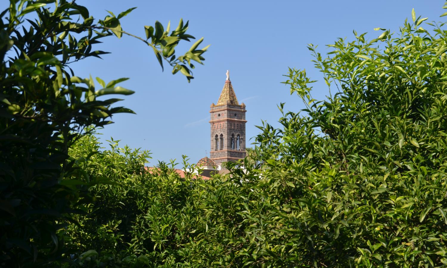 Milis is the town of citrus fruits, surrounded by orchards