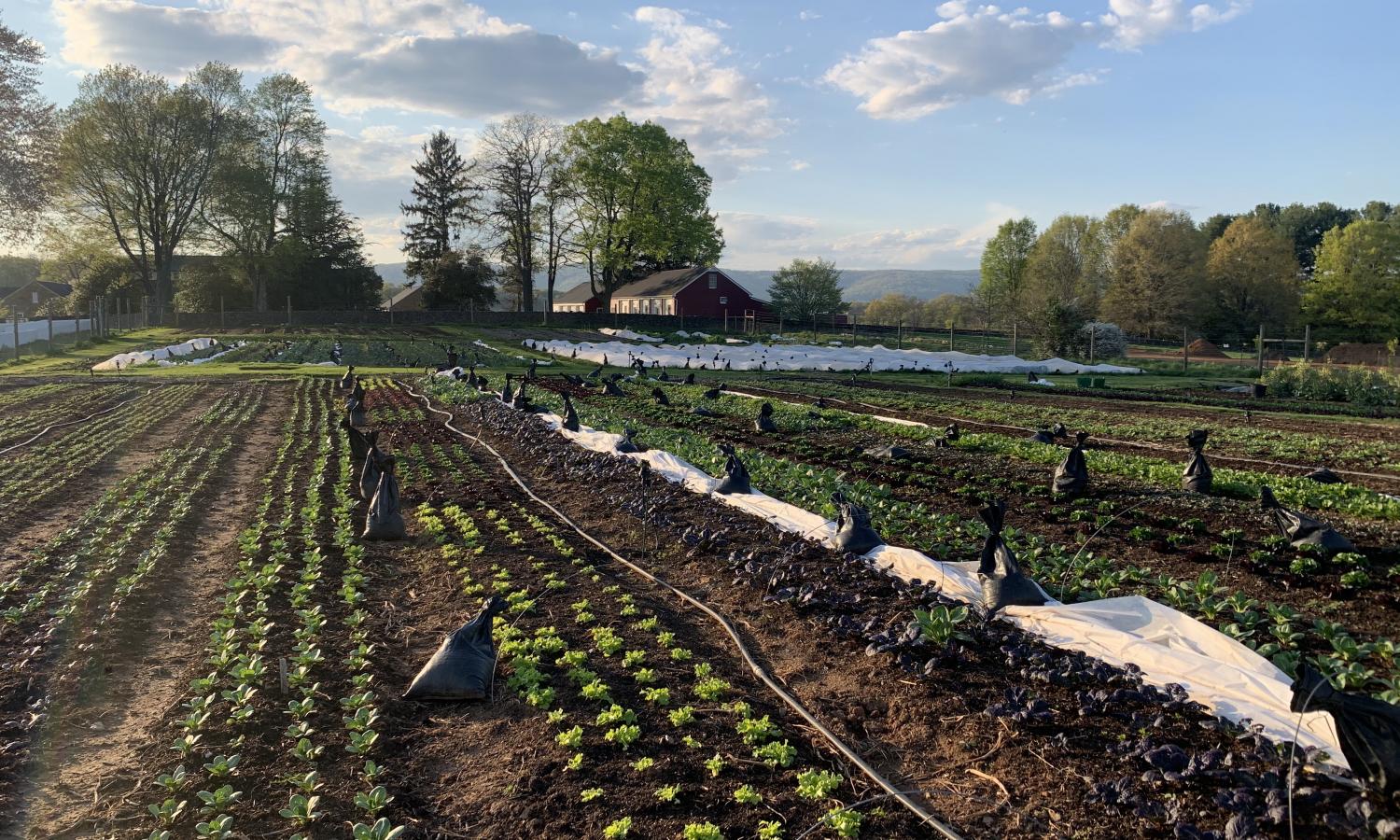 Image of the Biocultural Conservation Farm on-site
