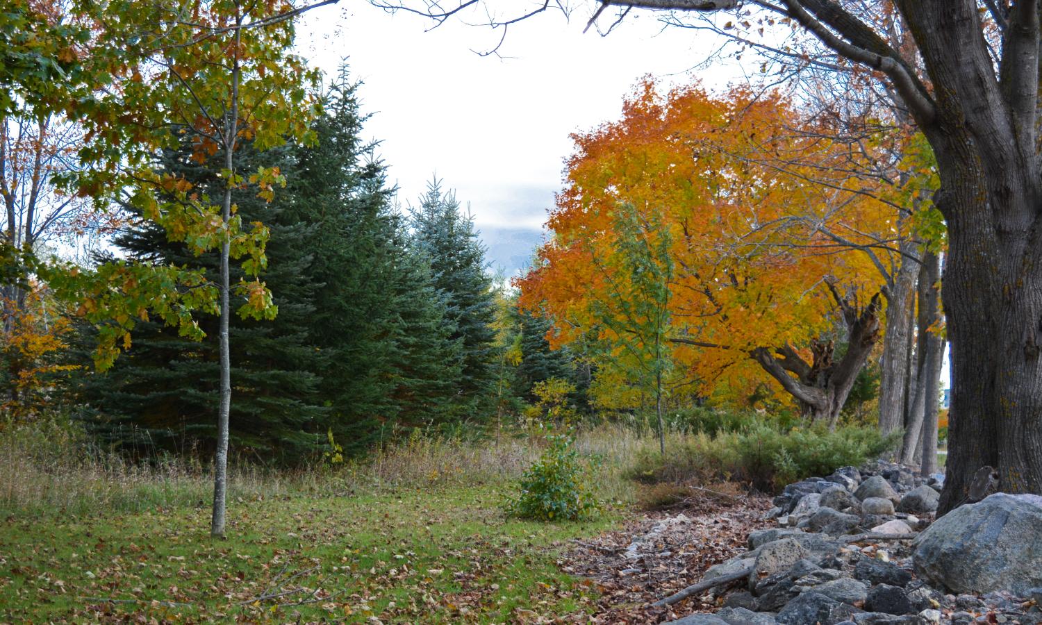 The property in fall.