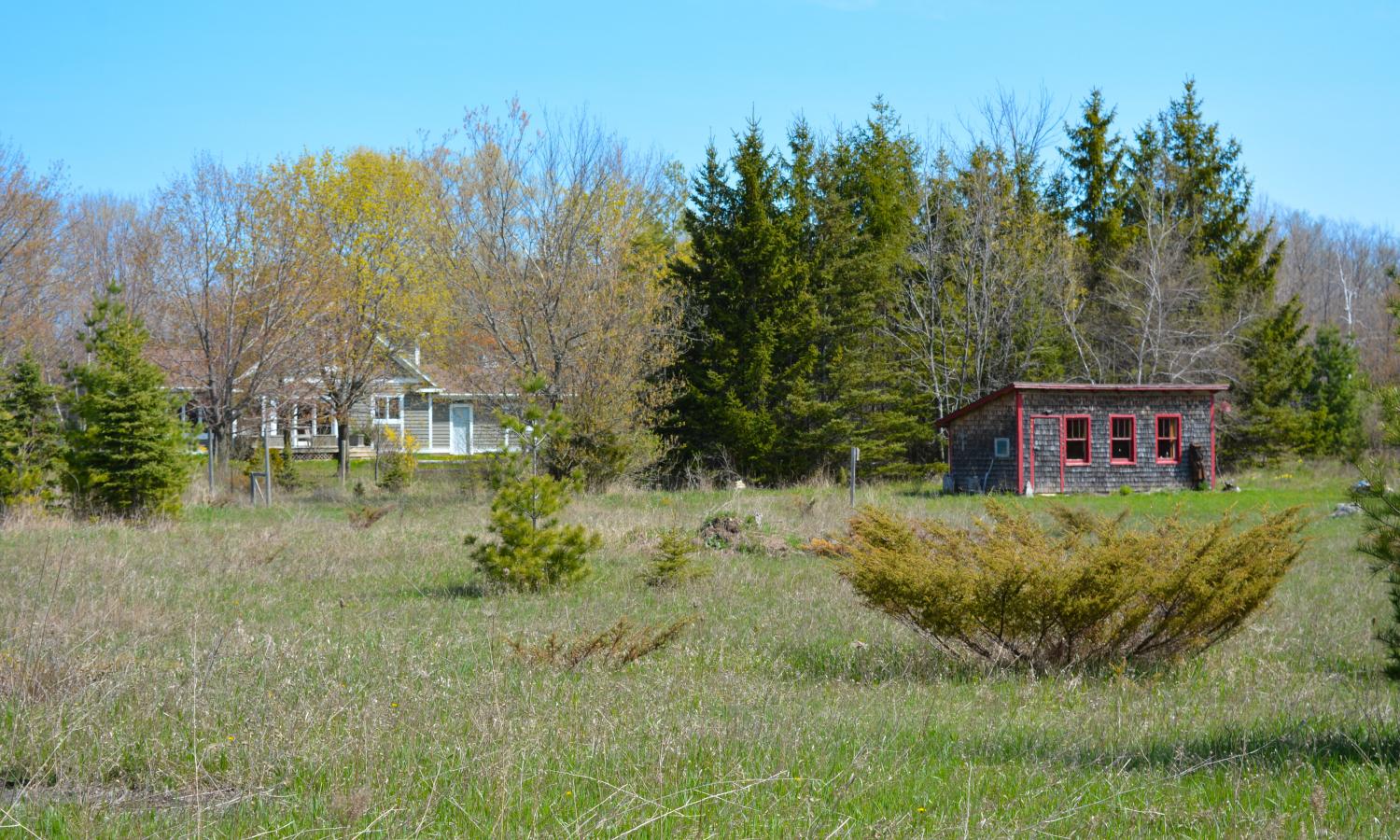A view from the meadow of The Coop with the residency house in the background.