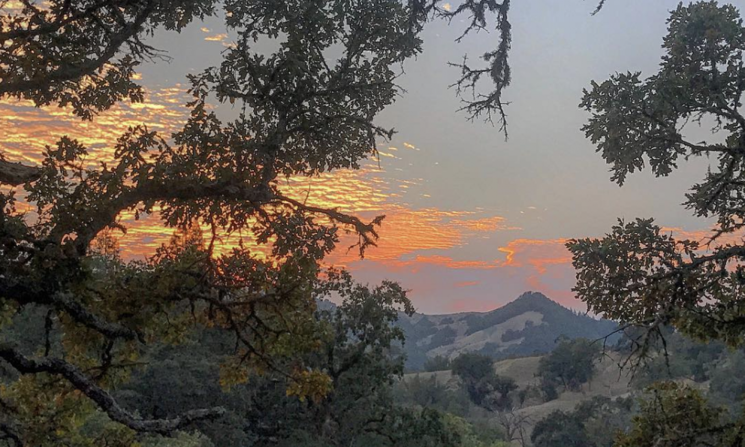 A glowing sunset over the hills. The view is framed by branches in the foreground.