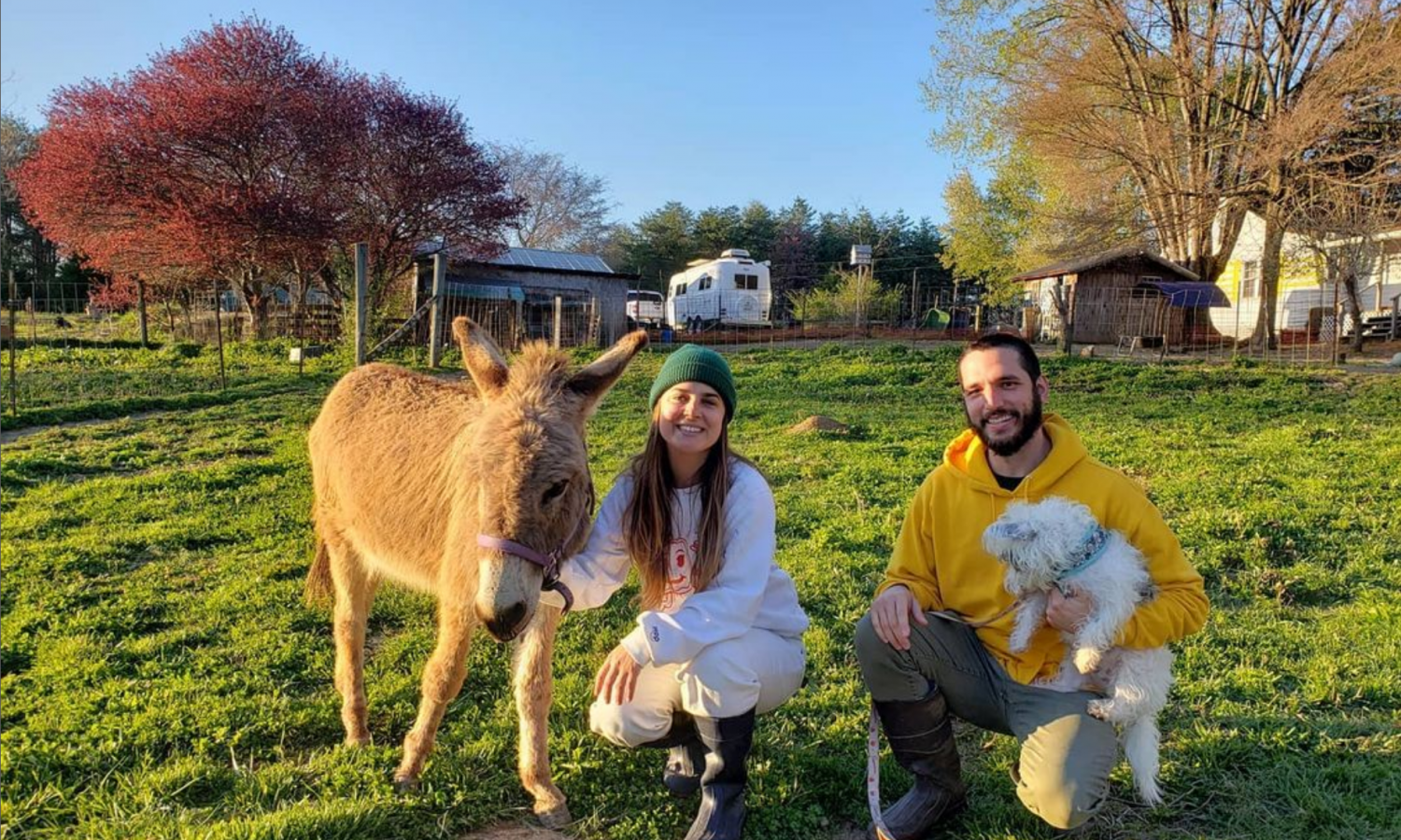 Hannah Gumbo and her husband with donkeys