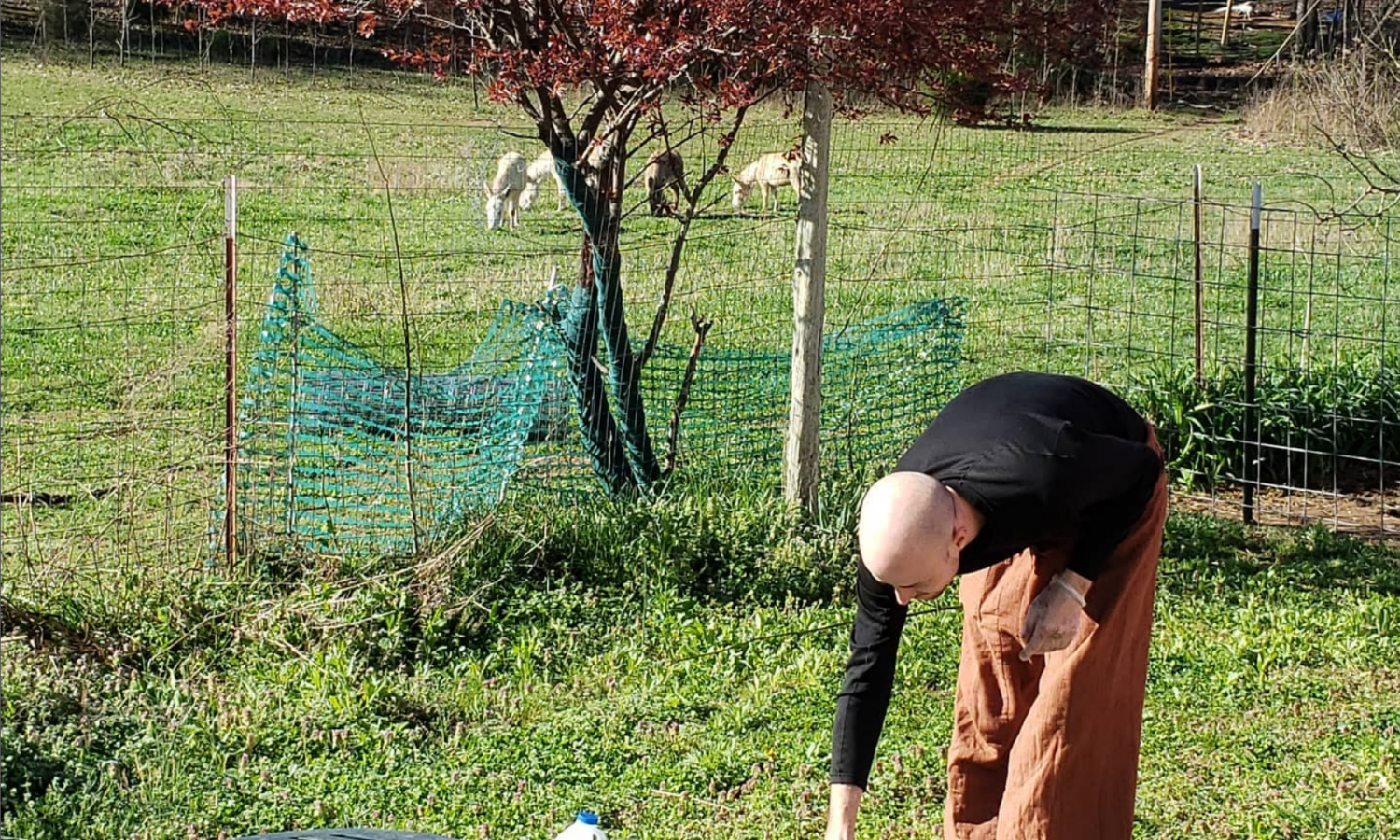 Brent Rowley paints watercolor outside the donkey field