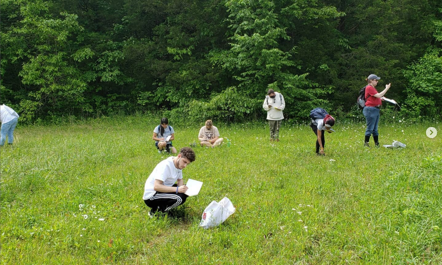group activity on the land