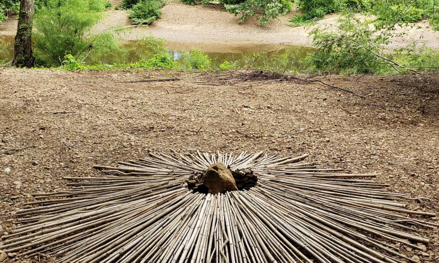 Installation by Gregory Blair bamboo and rocks