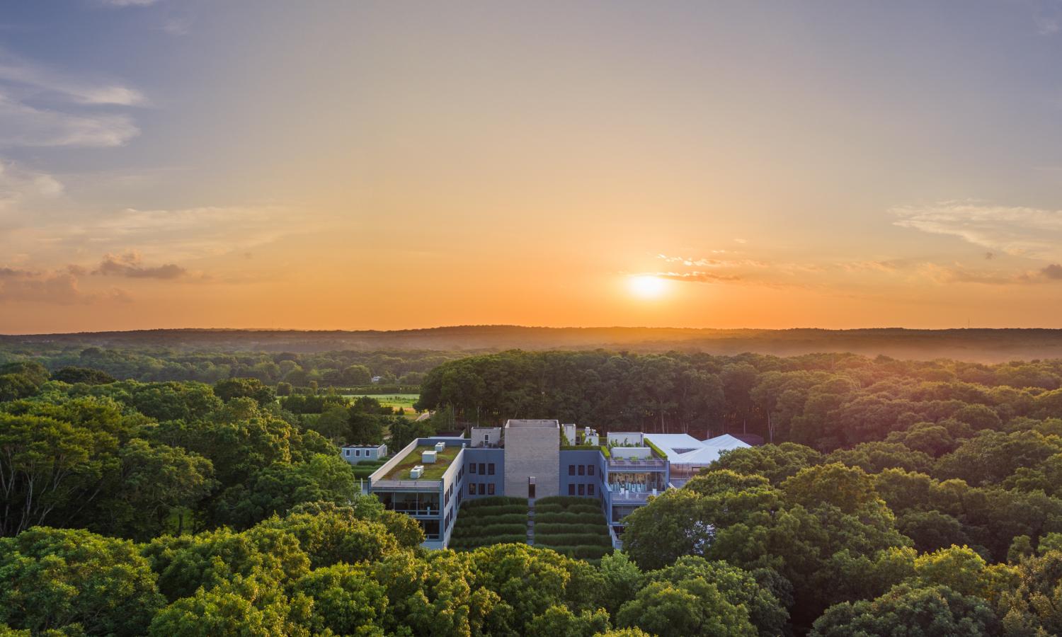 The Watermill Center. (Aerial view of a U-shaped building, situated in a dense forested area, with the sun setting off in the distance)