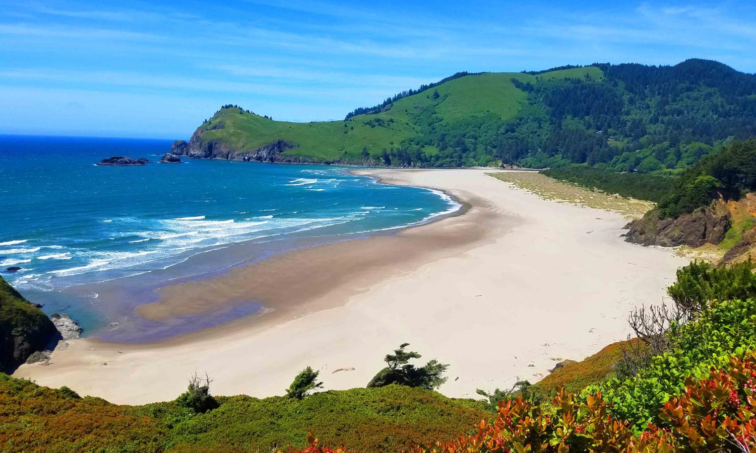 The Salmon River spit in summer