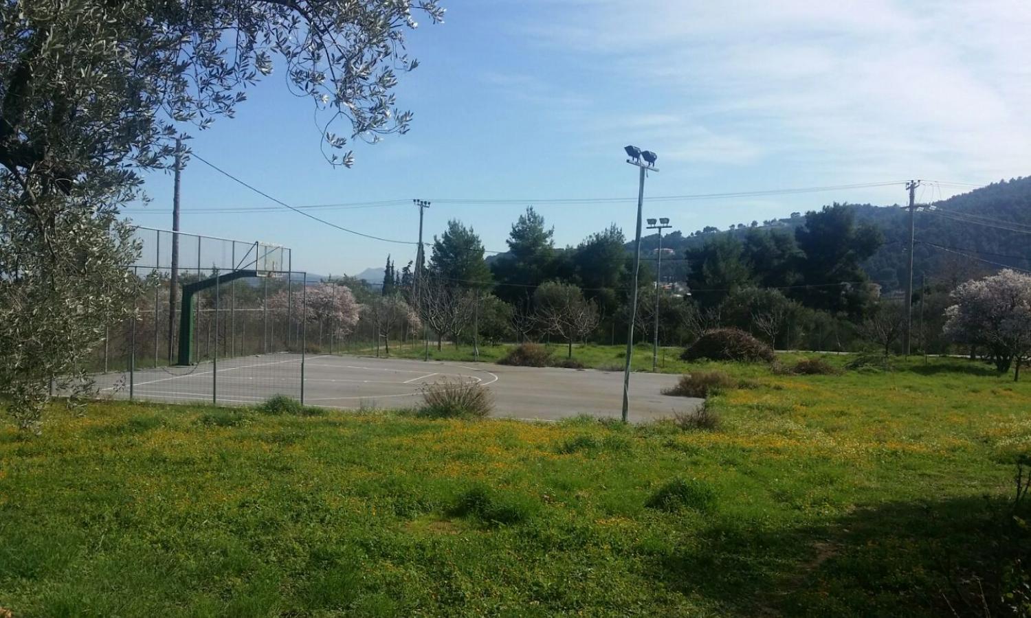 Our half basketball court.