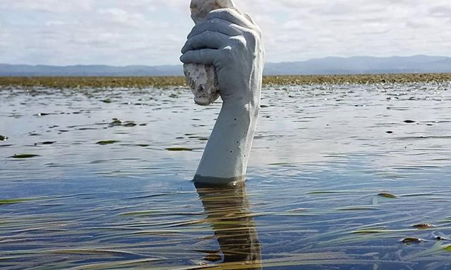 Schuyler Dawson Sculpture in Willapa Bay