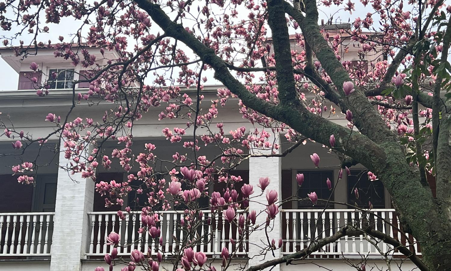 Still to come, is the restoration of the adjacent historic commercial building flanking The Bowers House