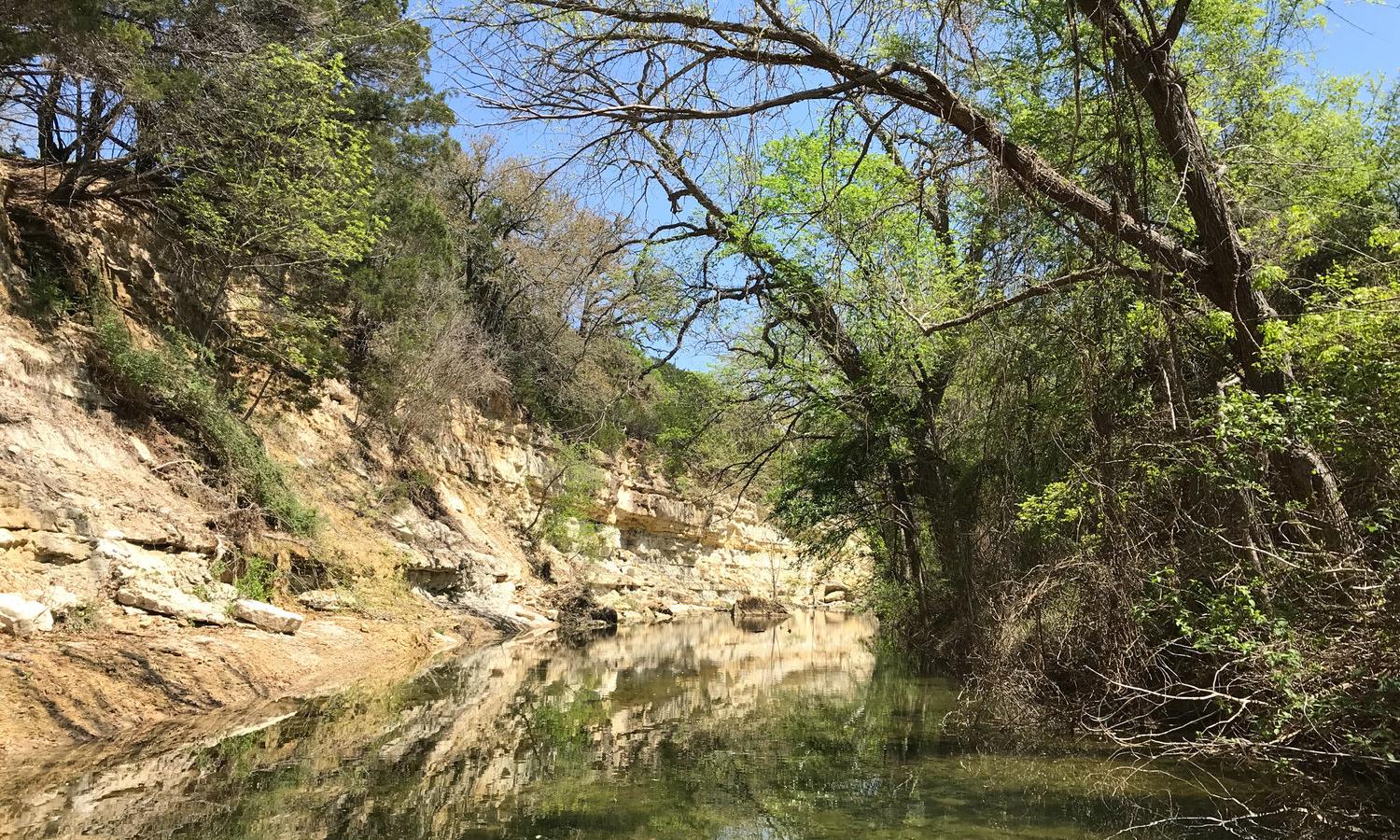 View of Oatmeal Creek which runs through the property