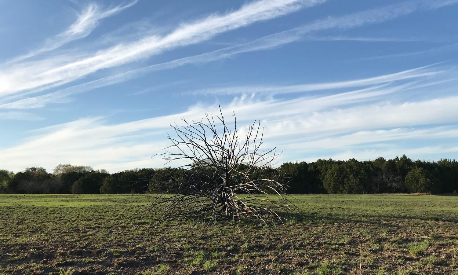 View of open field on the property