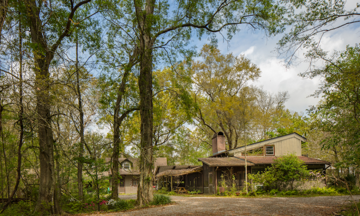 A Studio in the Woods is situated in 7.66 acres of bottomland hardwood forest.