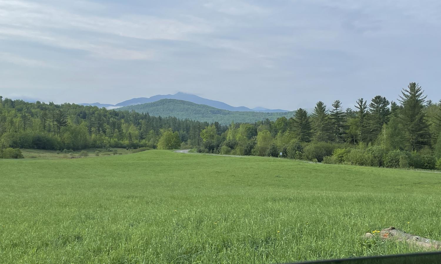 Idyllic view of green pasture, mountains in background, blue sky