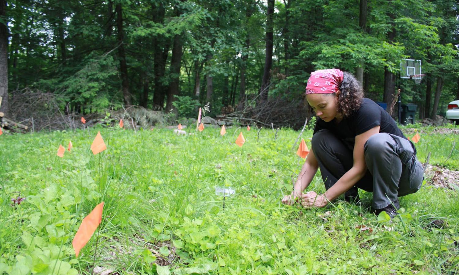 Kindred CRAFT Collective member planting seedlings in the ground