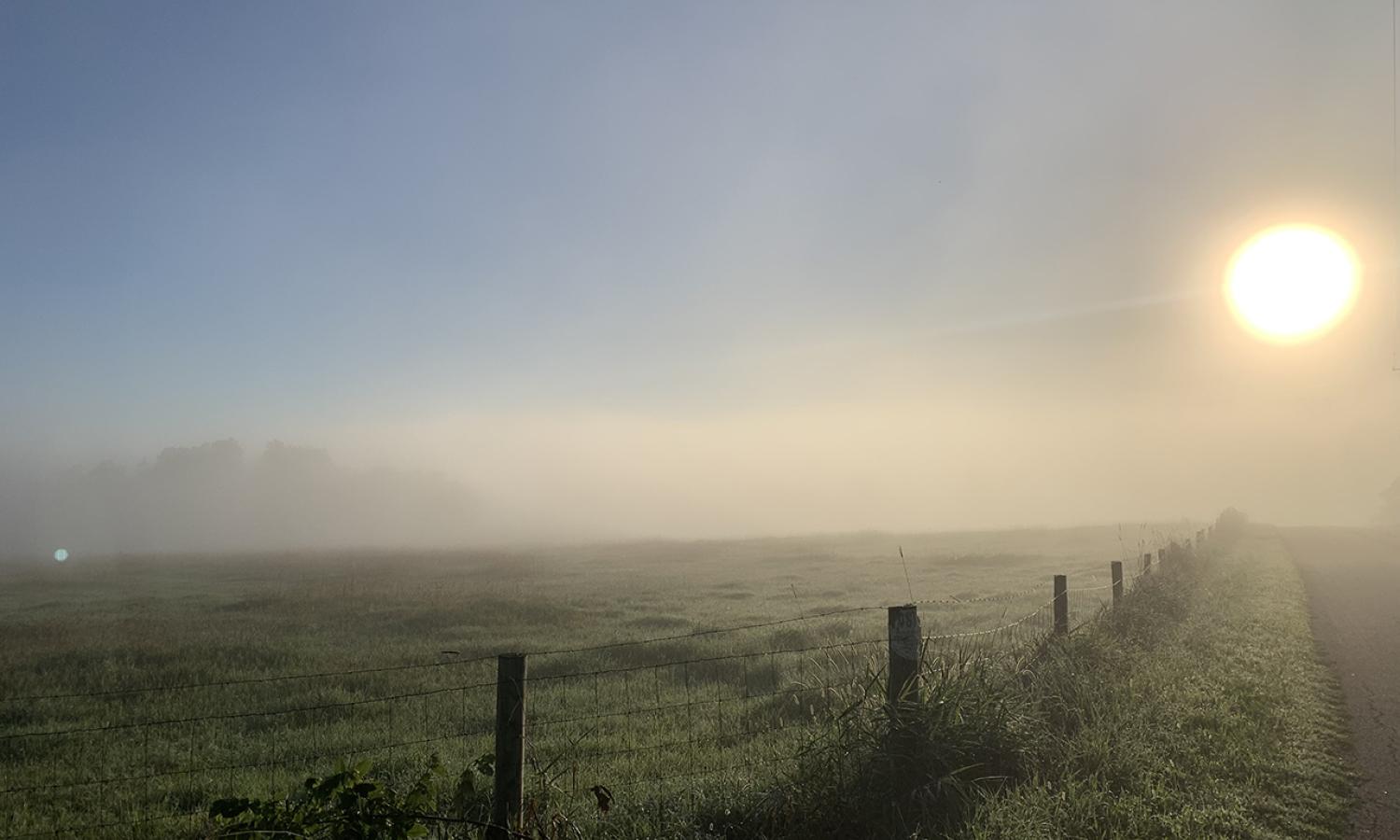 EMAR is located in rural upstate NY, surrounded by fields and forests.