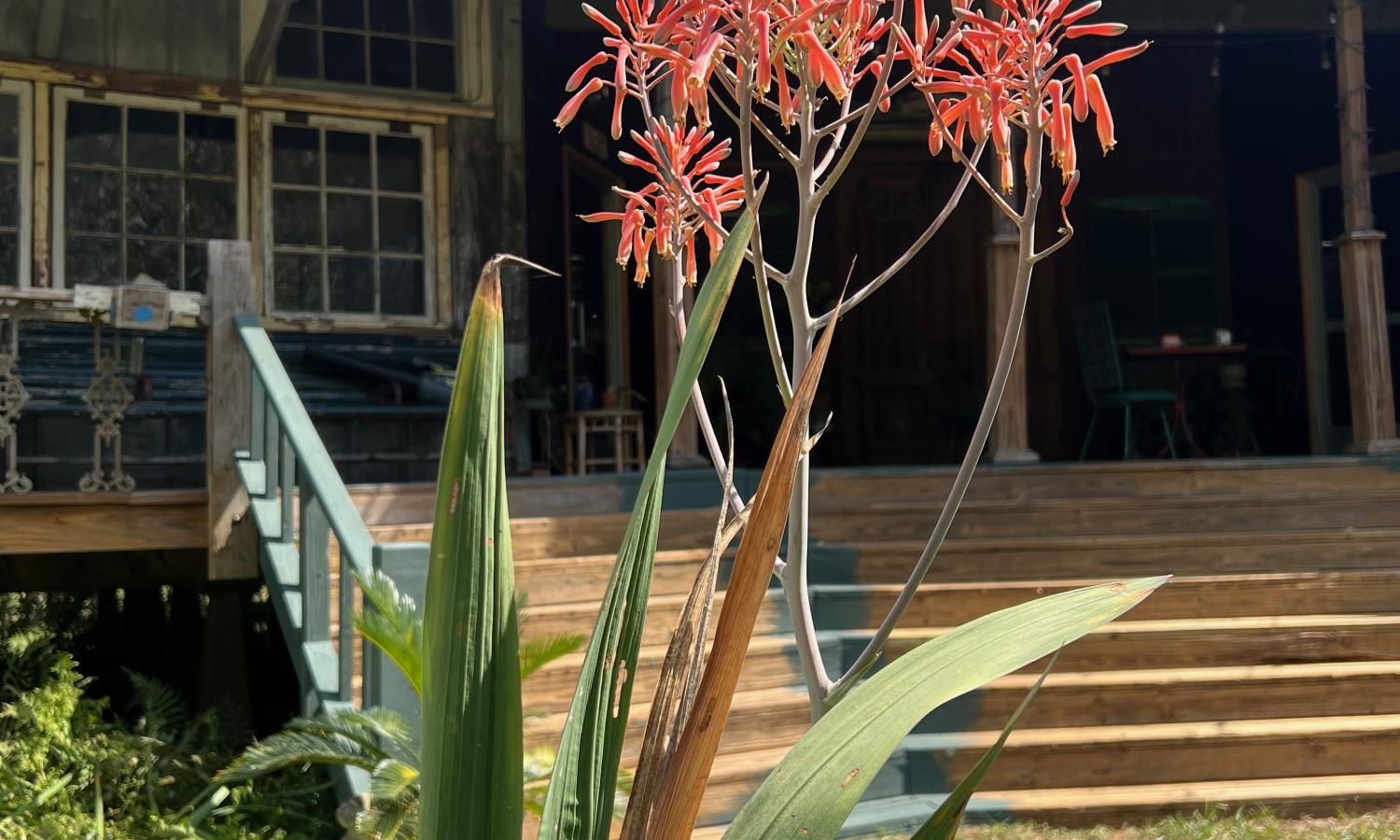 Outside view of The Tower Gallery, Lounge & Apartment