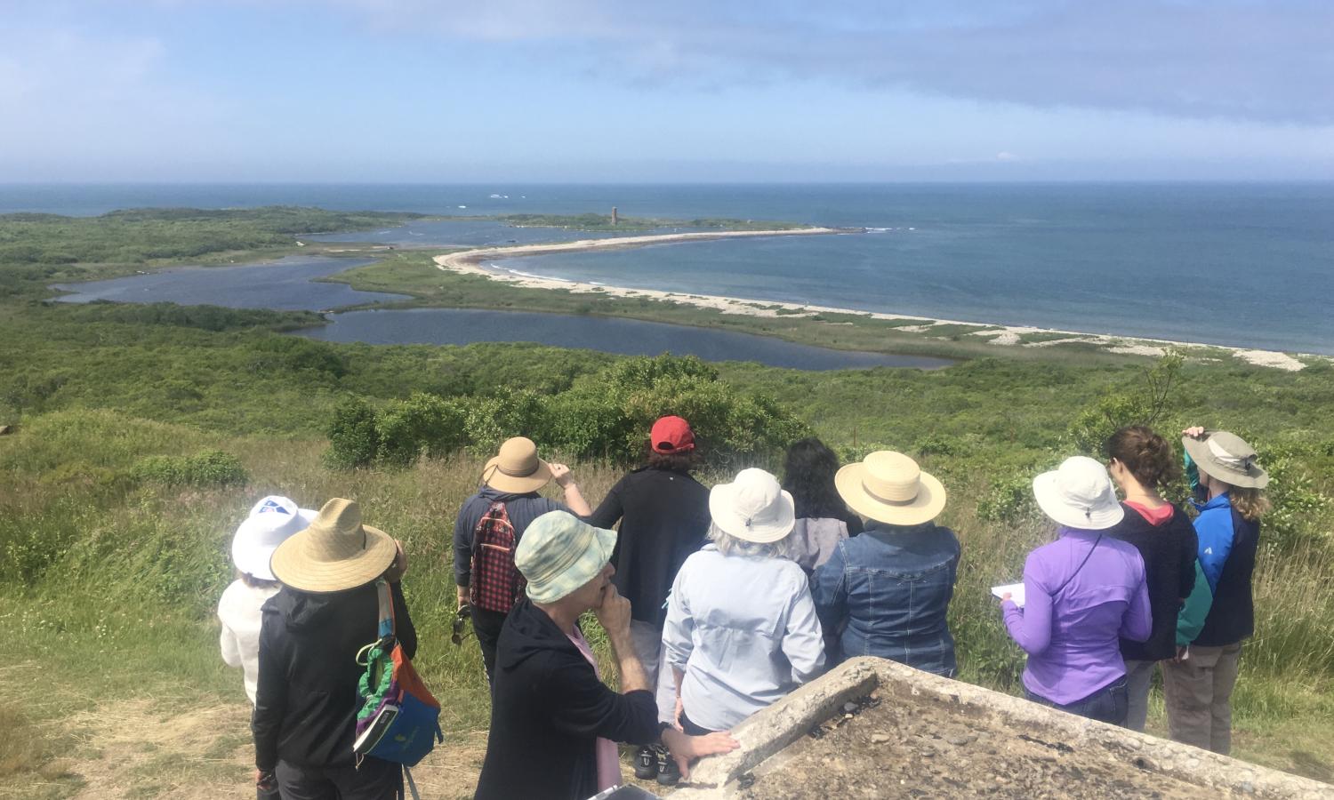 Painters touring the island