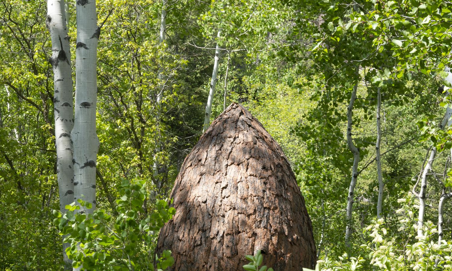 Installation by 2023 Resident Artist Nikki Pike