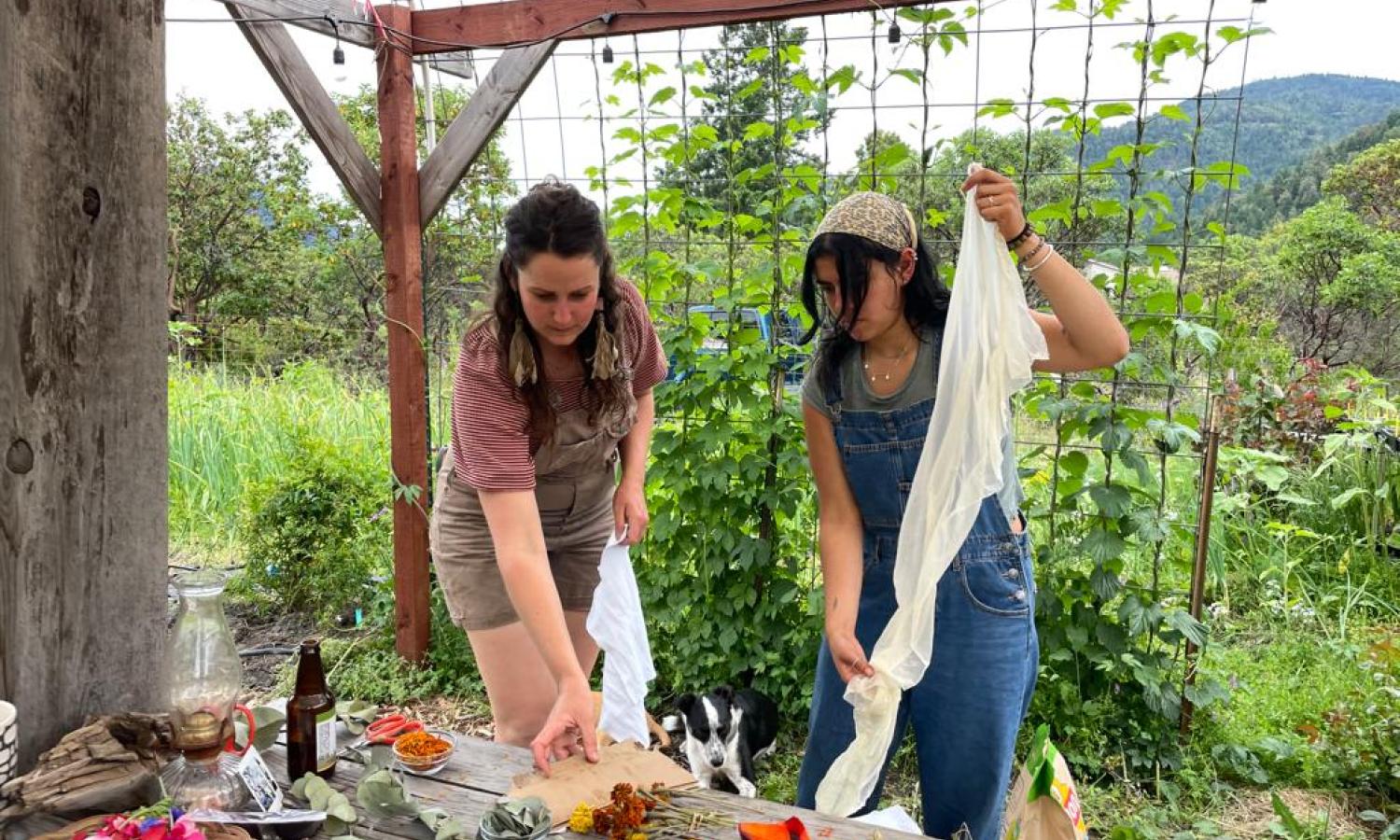 Residency artist Andie Aylsworth processing plants for natural dyeing