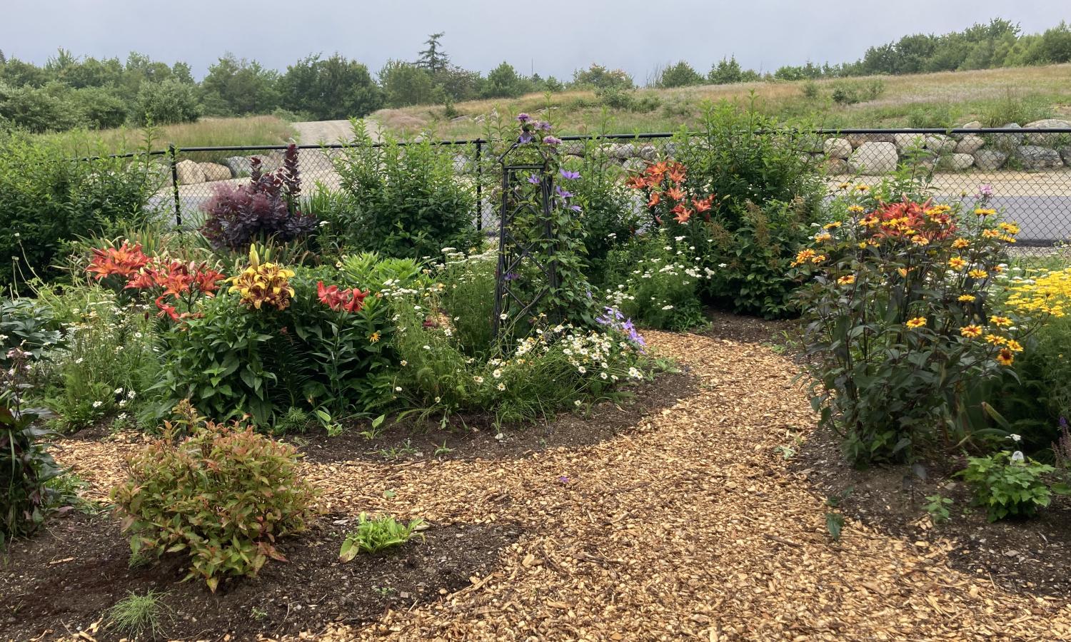 Foggy Bee Front Flower Garden