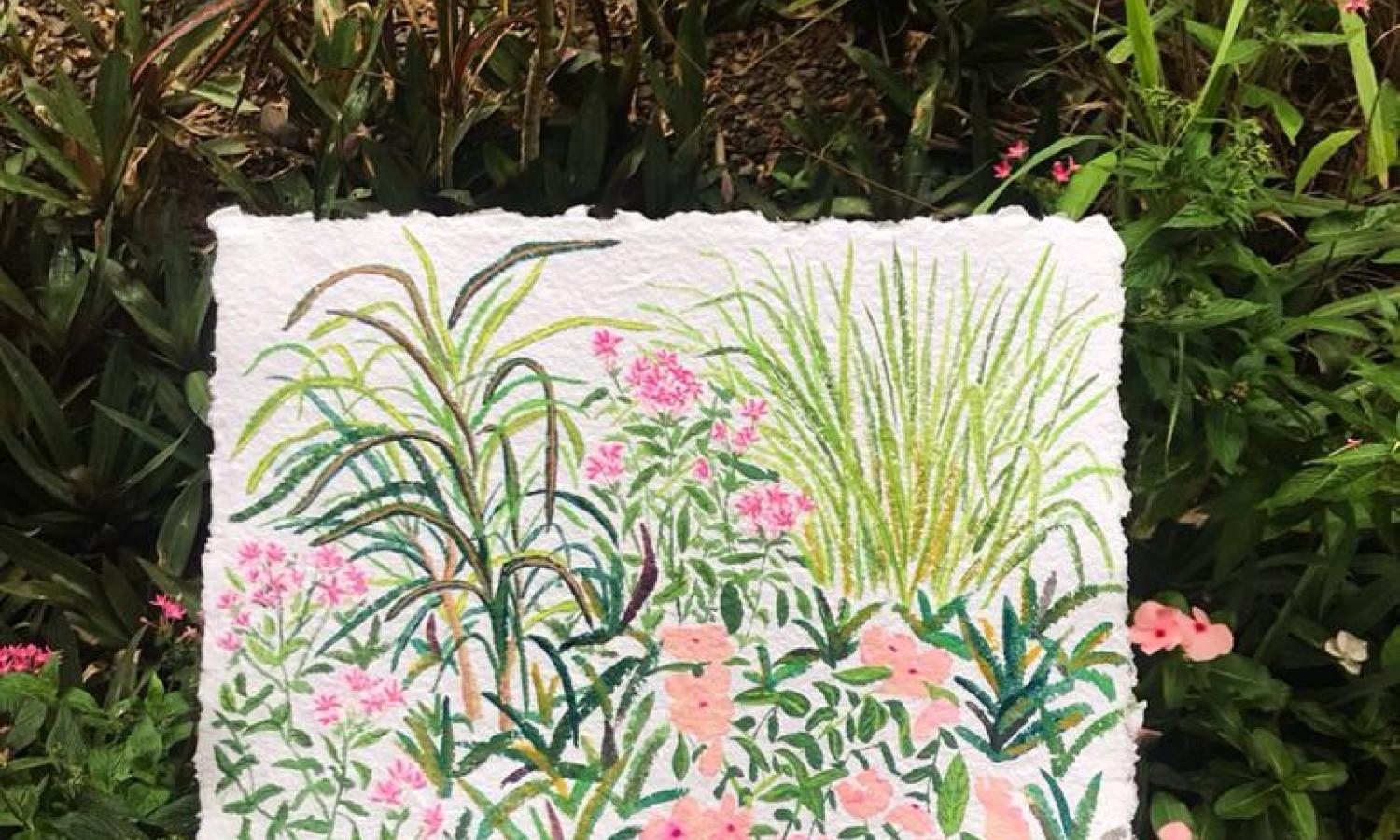 Nature and inspiration