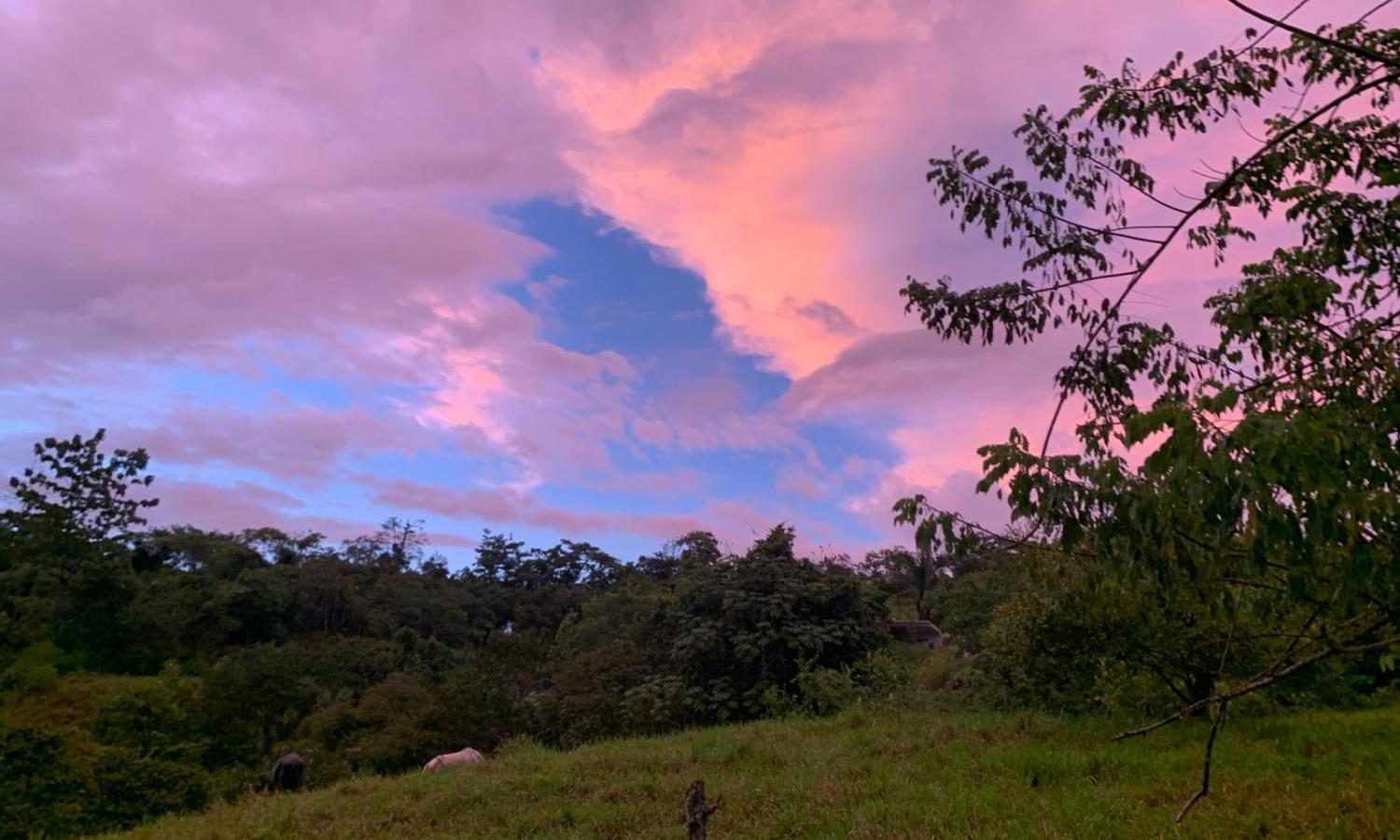 Sunset at Mauser Ecohouse