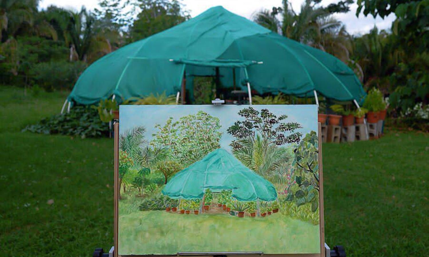 Our Green house with veggies and herbs