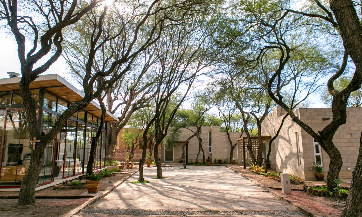 Welcome to Camino Al Arte Residency