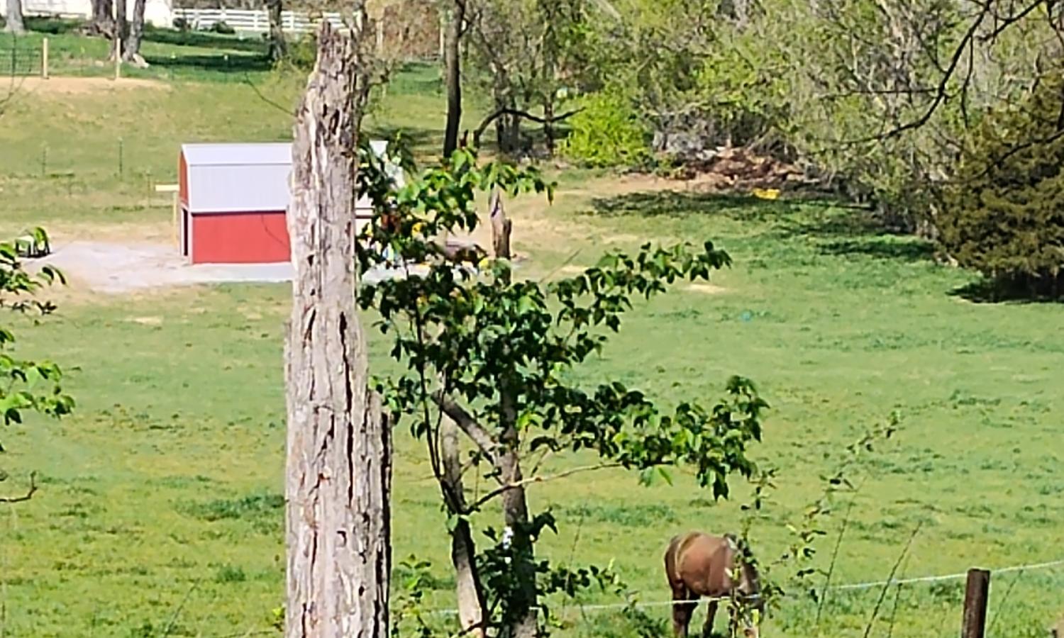 View of neighboring farm taken from front porch of live/work studio