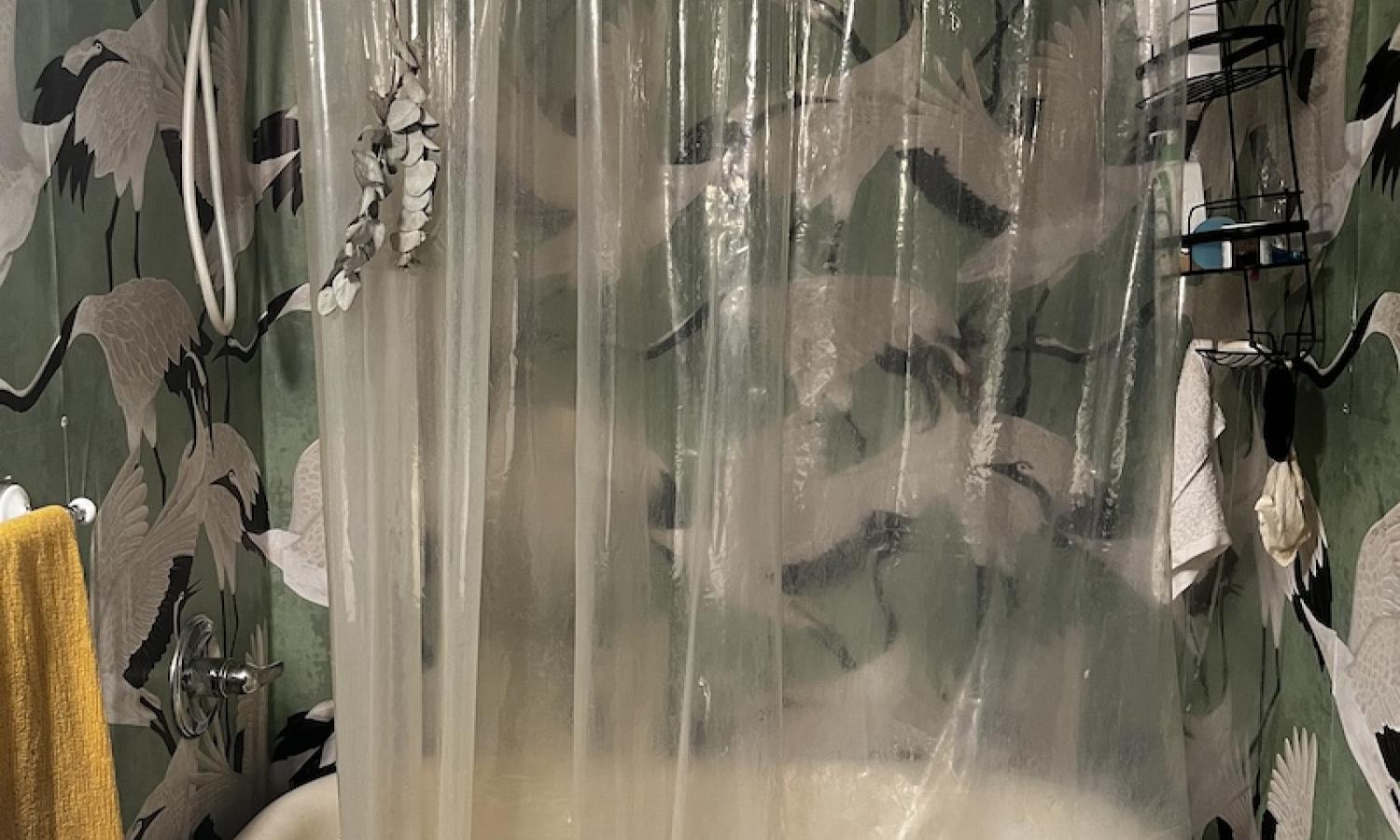 A claw-foot bathtub with a clear shower curtain against a wall with green wallpaper with cranes on it