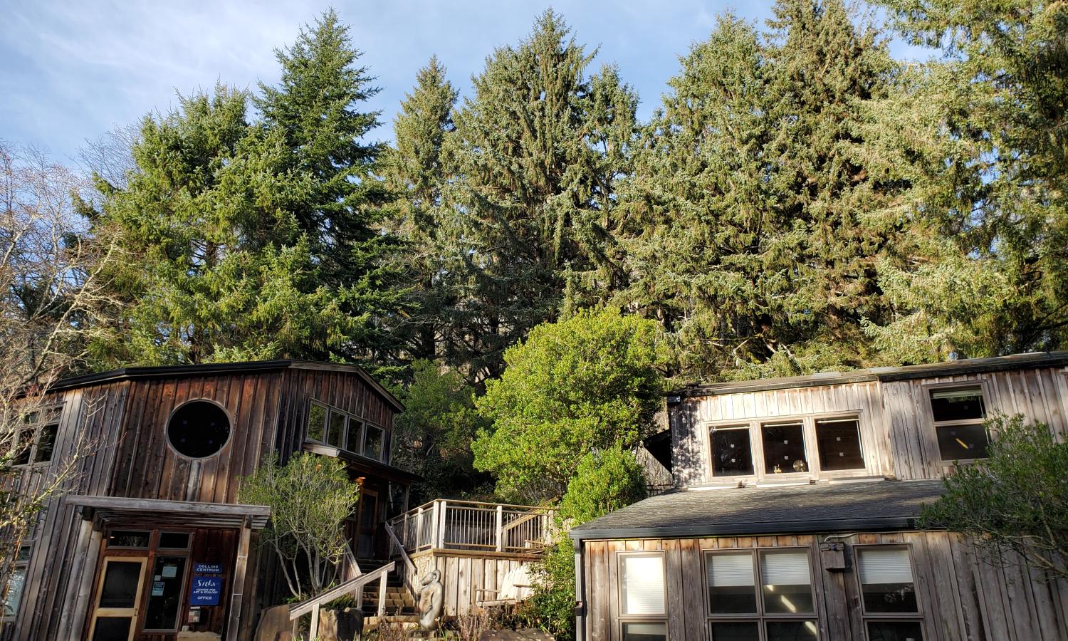 A view of Sitka's main campus from the front lawn