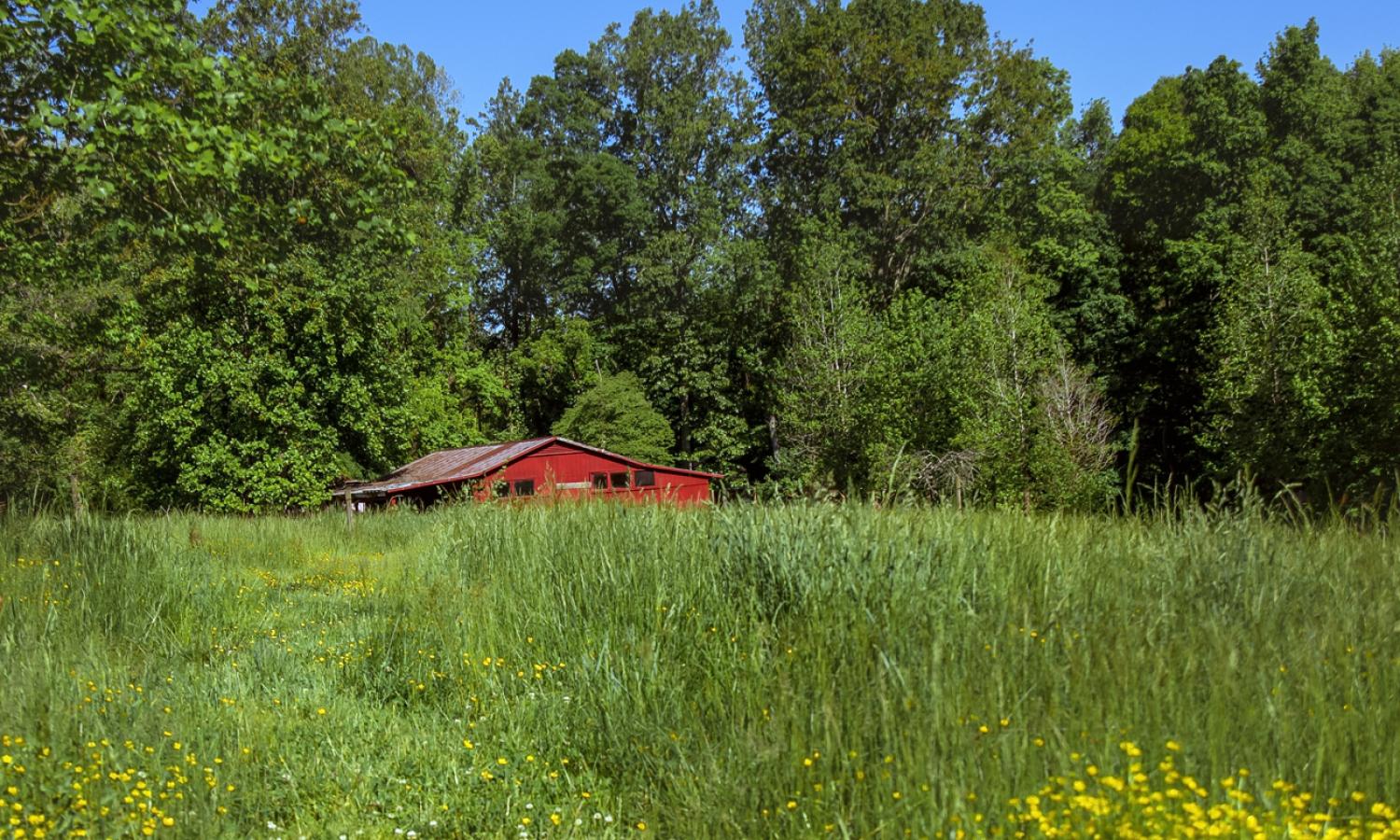 farmland view
