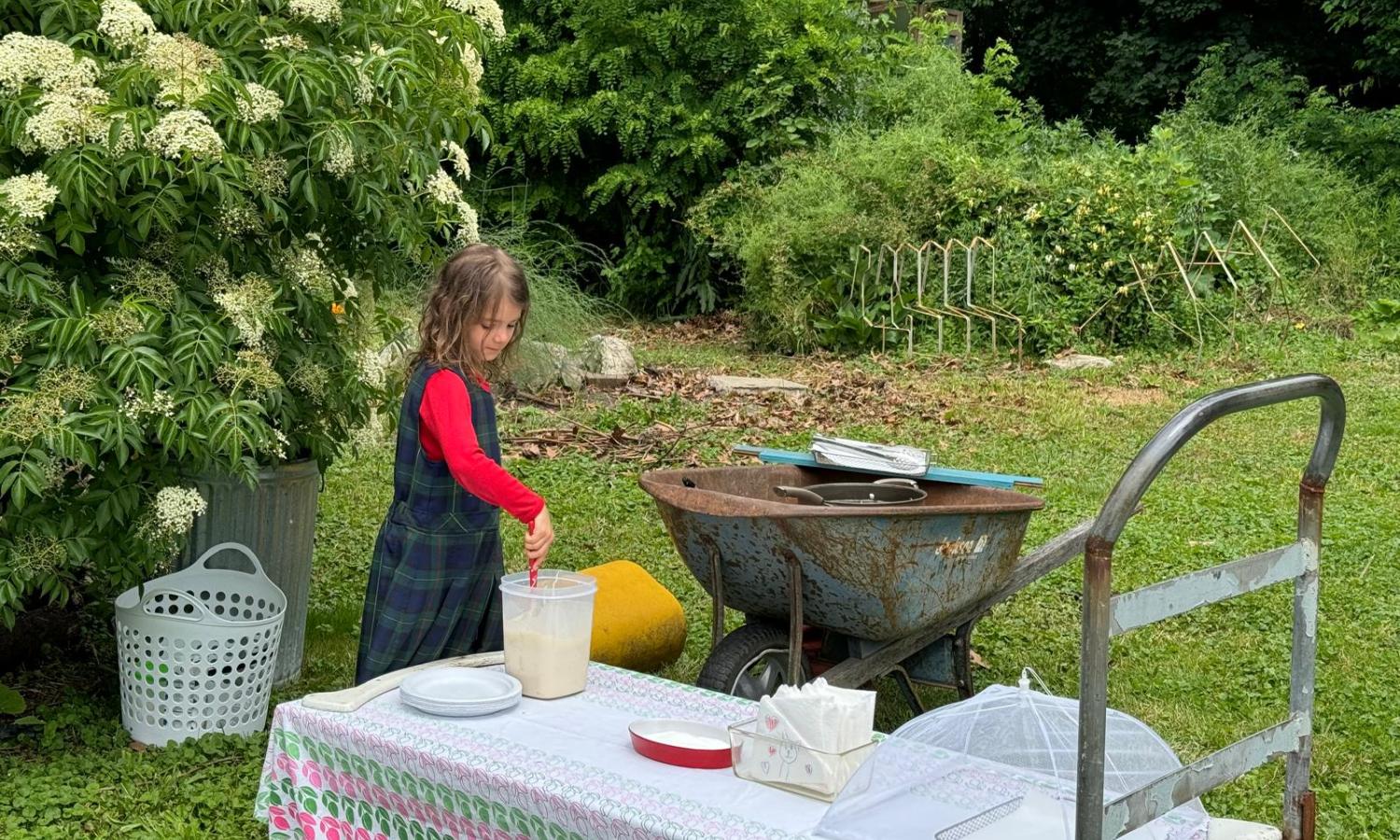 Family Residency workshop with elderberries