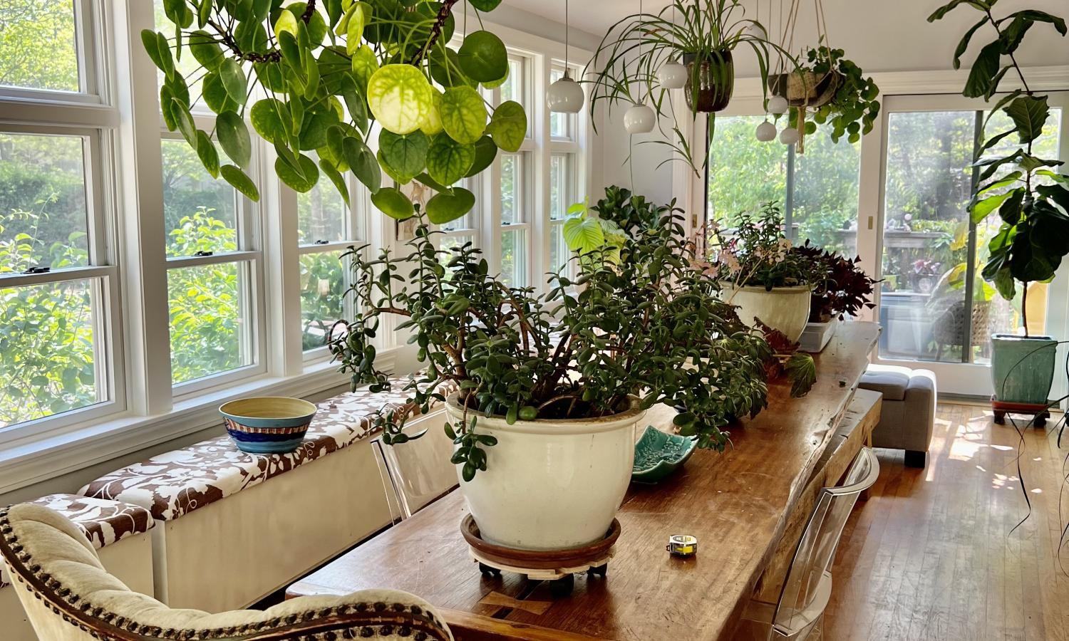 Multi purpose space in the main house