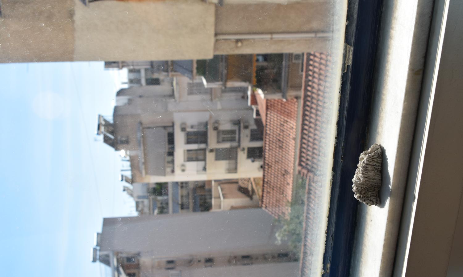 A view of buildings and blue skies from the studios