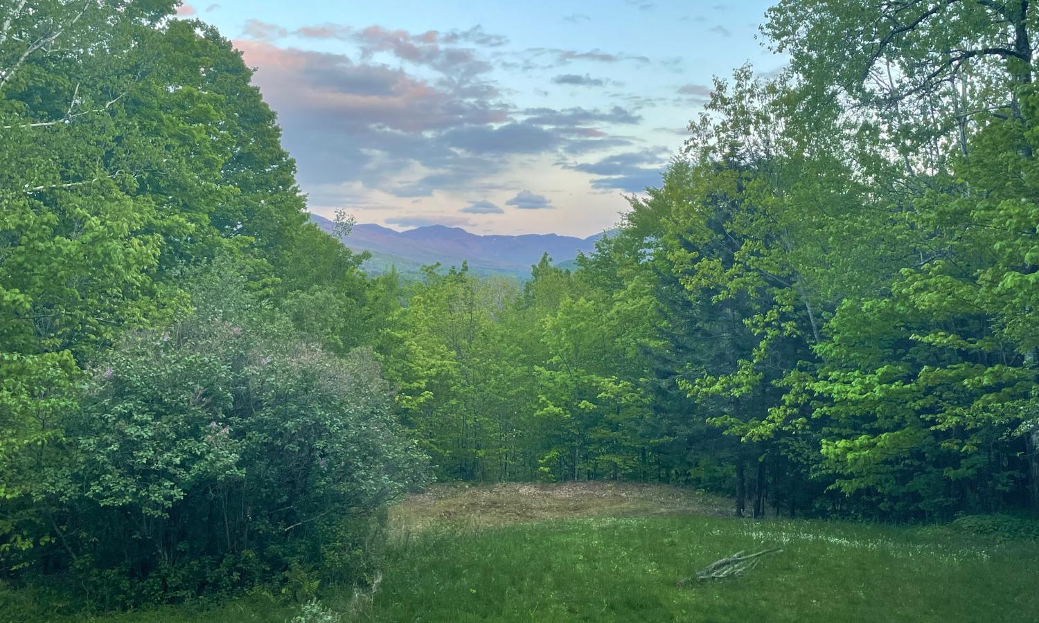 Mountain view from south facing cabin window
