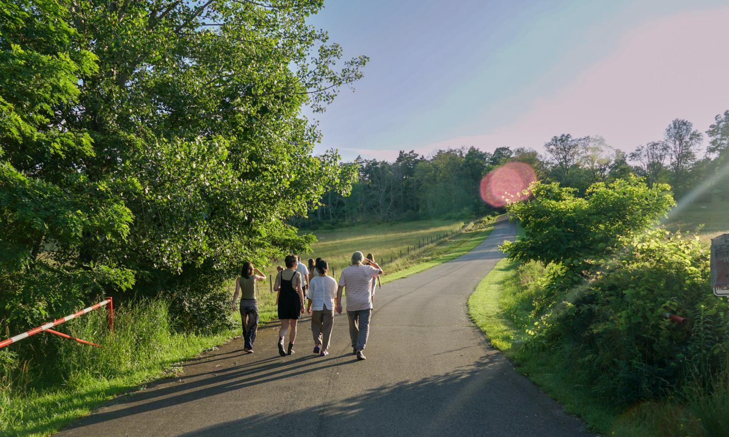 Residents walking along a sunlit path