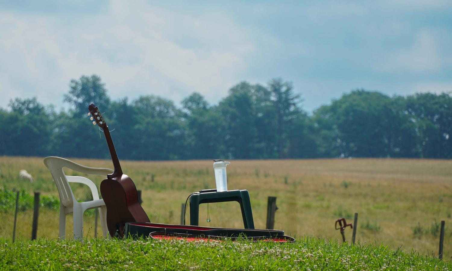 Guitar in a field