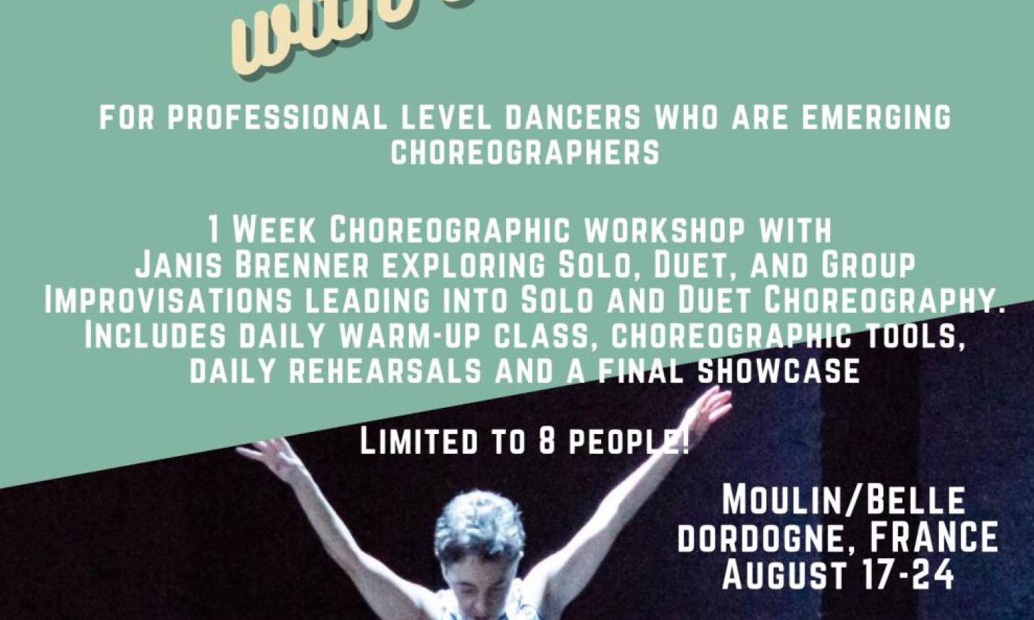 Infographic for Janis Brenner workshop.