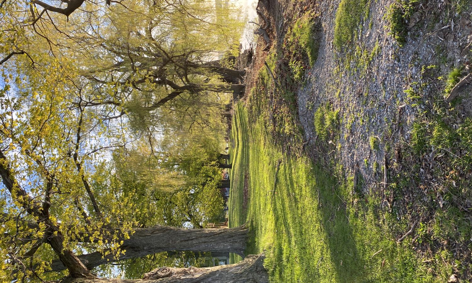 Summer 2026 location: Waupoos Island, Ontario