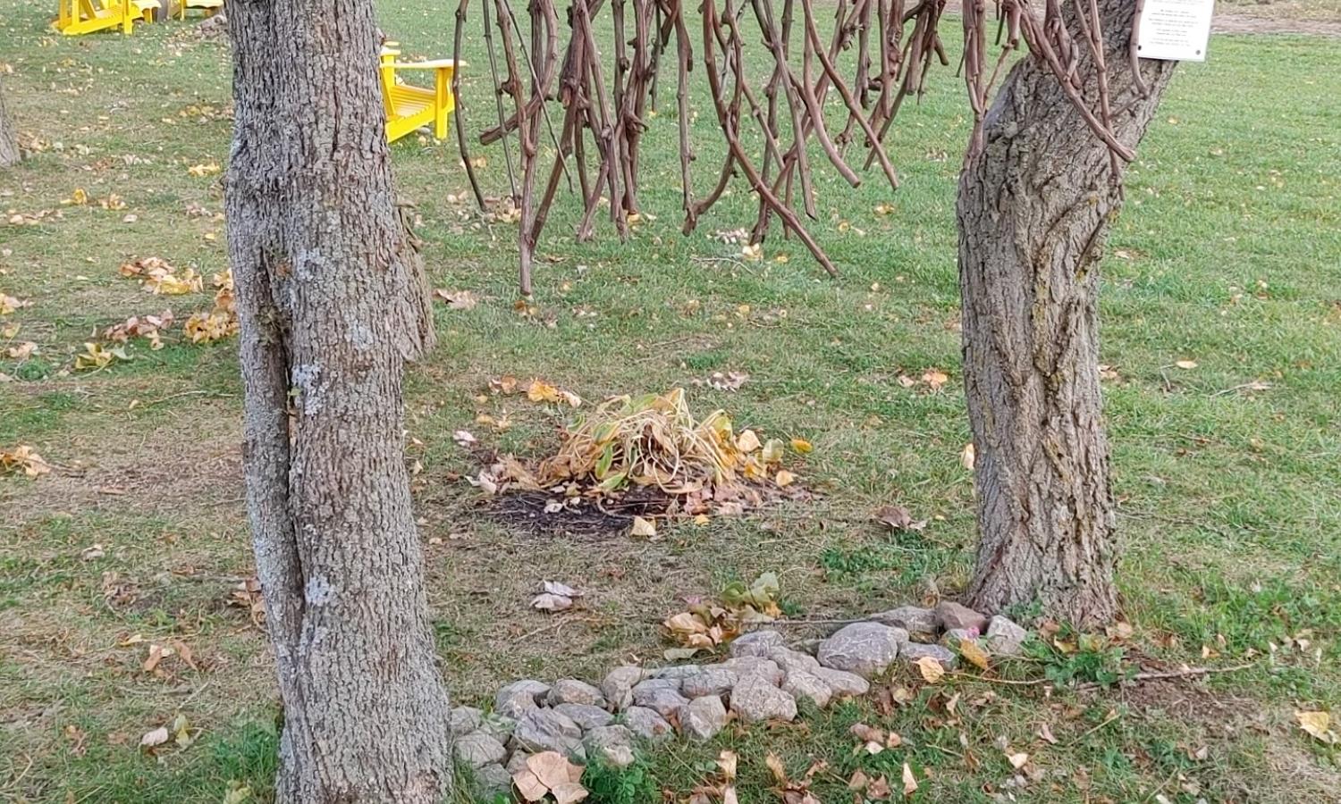 Work by Jill Price at Broken Stone Winery 2022