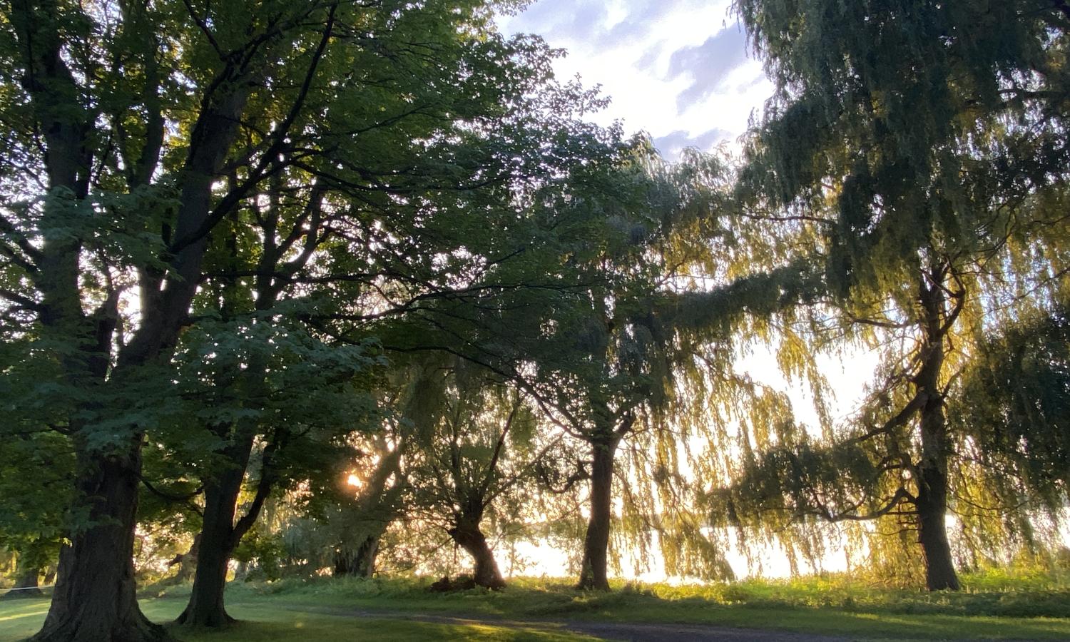 Summer 2026 location: Waupoos Island, Ontario