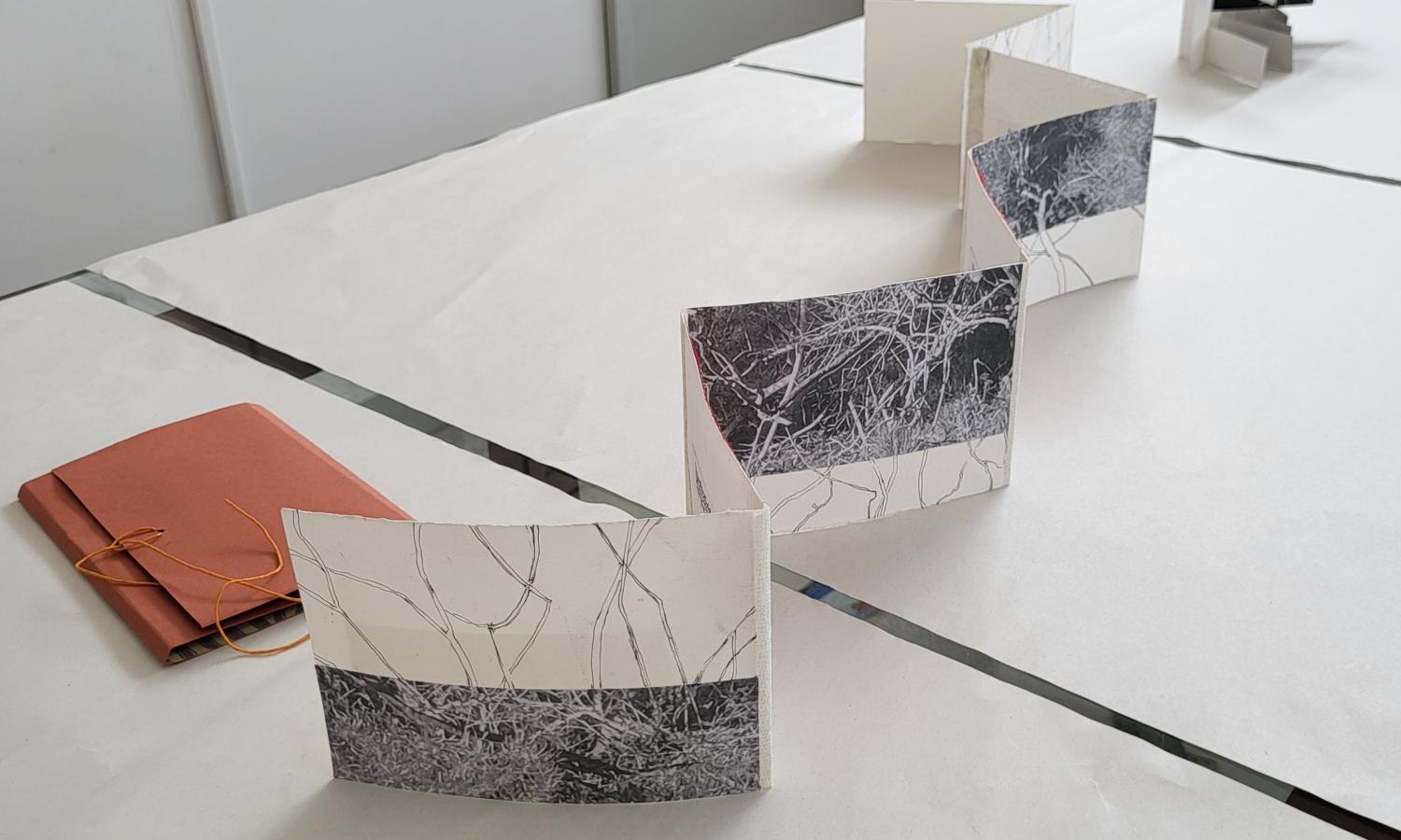 Artist Book - Liz Jeneid's work